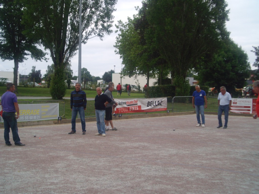 GEDC2331