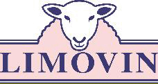 Logo limovin